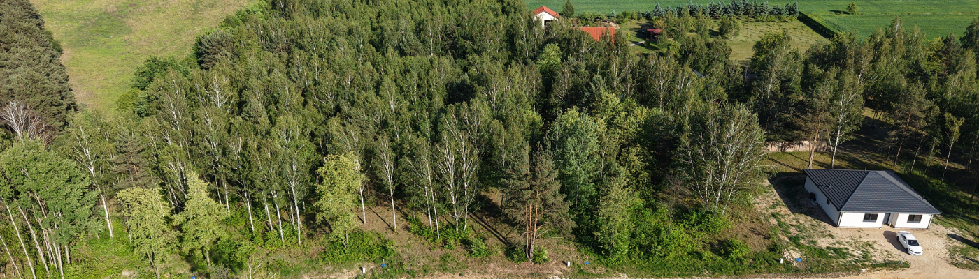 Widok na działki  z pozwoleniem na budowę Dąbrówka Strumiany 